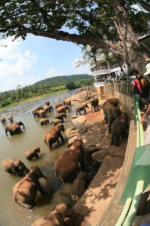 Отель Pinnalanda - New Deal! Half Off Airport Pickups Available 3*